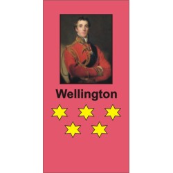 Fourteen Days in June: the Waterloo Campaign
