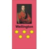 Fourteen Days in June: the Waterloo Campaign